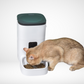 Smart 6L Pet Feeder for Cats & Dogs with 1080P Camera, App Control & Voice Recorder